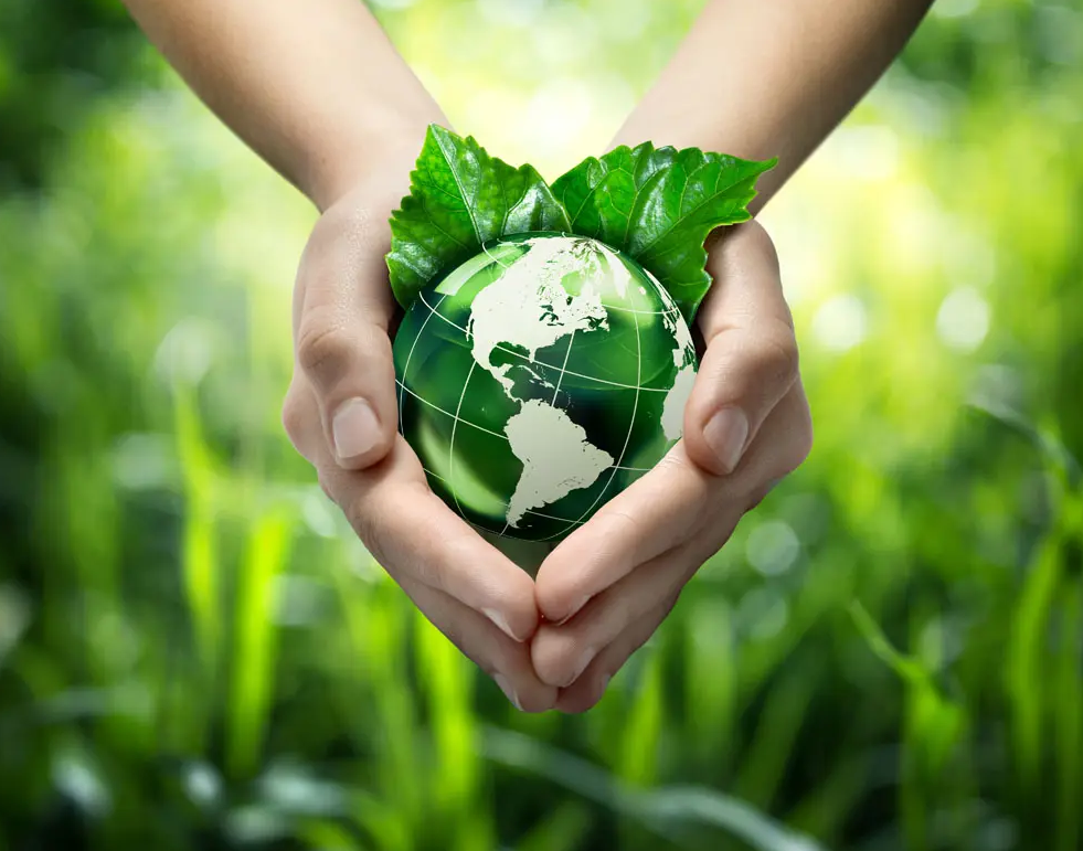 關(guān)于綠色印刷，這些你都知道嗎？